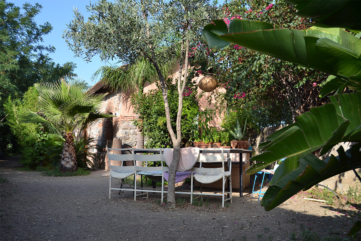 La Fungaia