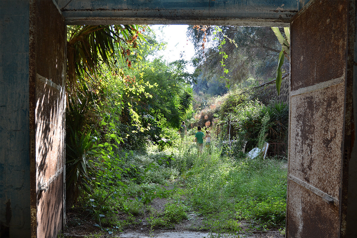 La Fungaia