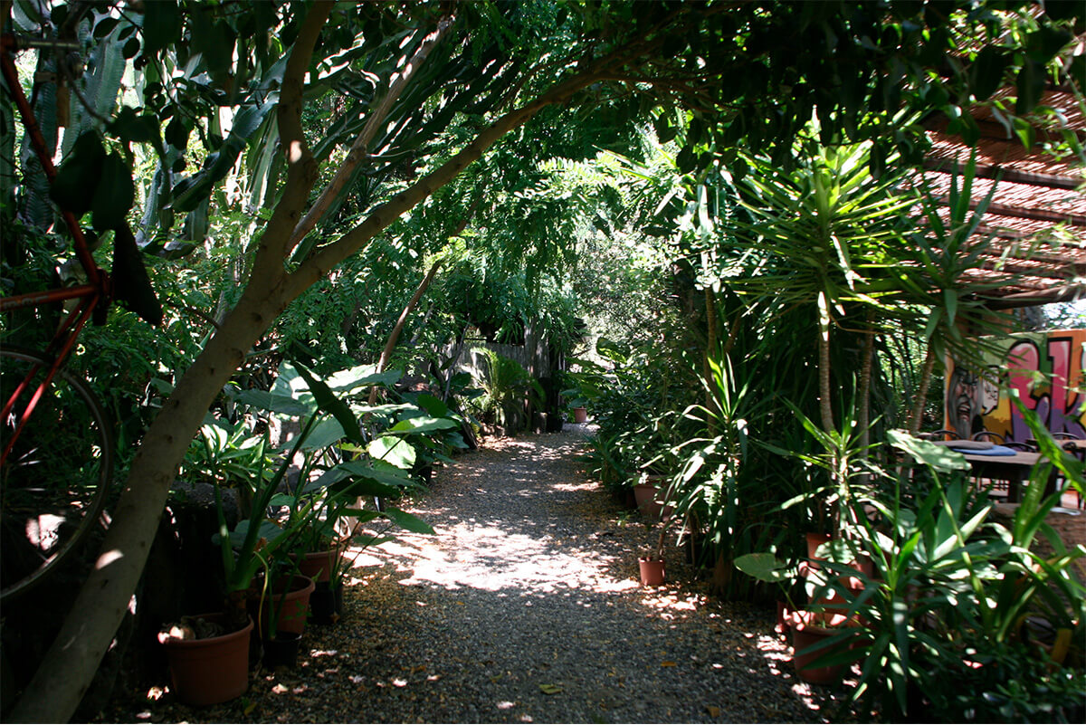 La Fungaia